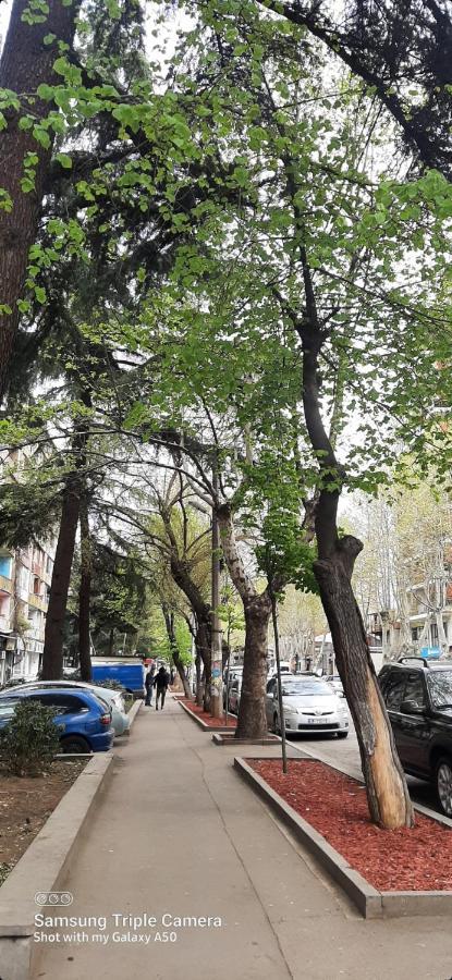 Comfy Apartment Tbilisi Bagian luar foto